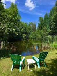 Empty chairs against trees and plants against sky