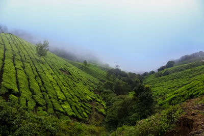 Scenic view of green landscape against sky