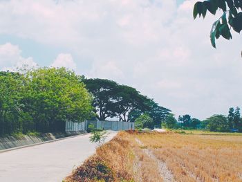 Road by trees on field against sky