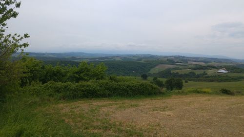 Scenic view of grassy field against cloudy sky