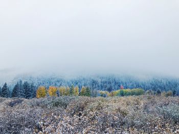 Scenic view of field against sky during winter
