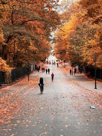 People walking on street