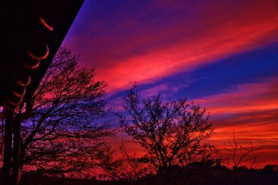 Low angle view of silhouette trees against dramatic sky