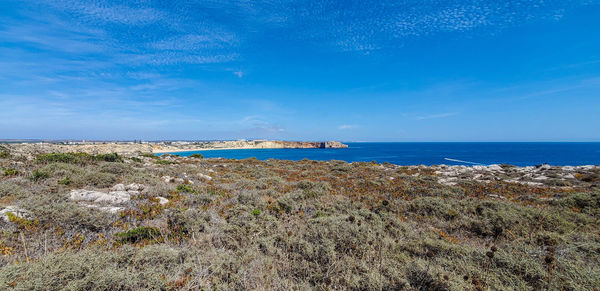 Scenic view of beach against blue sky