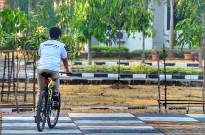 Rear view of young man riding bicycle on walkway