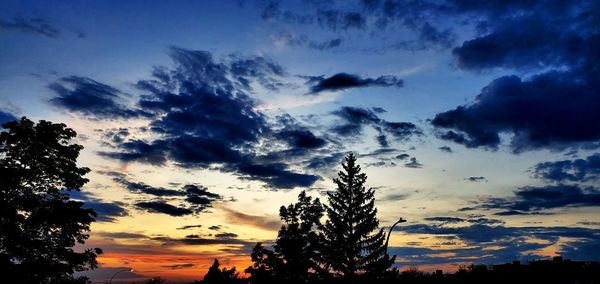 Low angle view of silhouette trees against sky during sunset