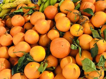 Oranges on street market in mallorca / spain