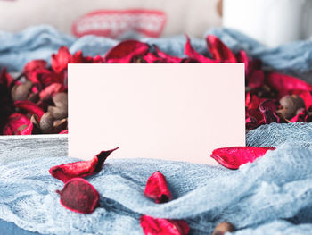 Close-up of red rose on bed