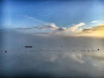 Birds flying over sea