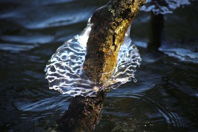 Close-up of water flowing in river