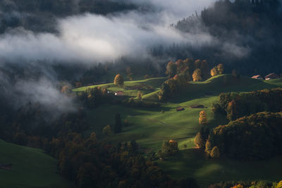 High angle view of trees on landscape