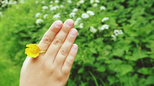 Cropped hand of child holding yellow flower