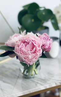 Close-up of pink rose on table