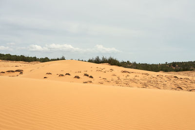 land