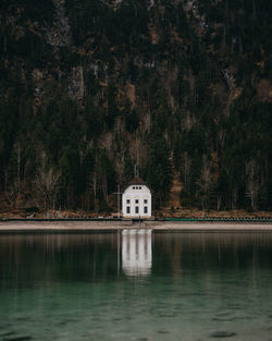 Scenic view of lake
