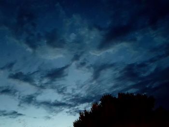 Low angle view of silhouette trees against blue sky