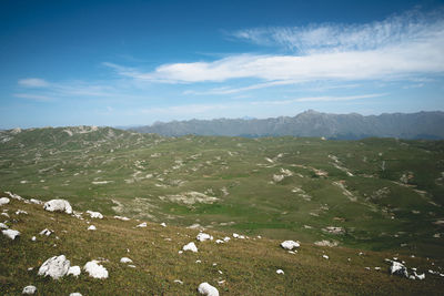 Scenic view of landscape against sky