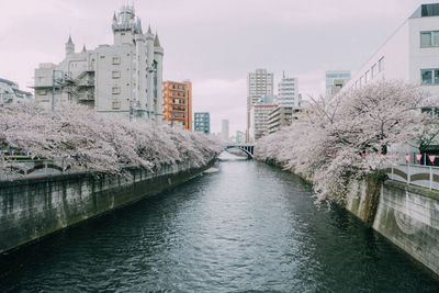 River amidst buildings in city against sky during springtime