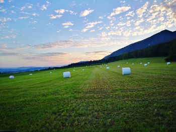 Scenic view of field against sky during sunset