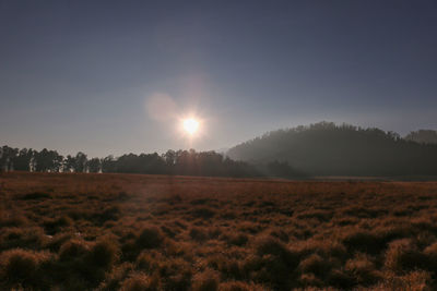 Scenic view of field against sky during sunset