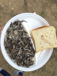 High angle view of food in plate