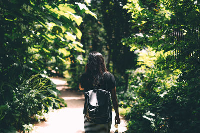 Rear view of woman walking in park