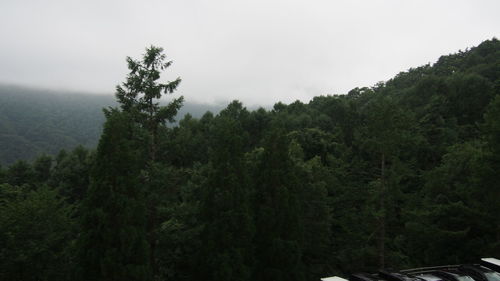 Scenic view of cloudy sky