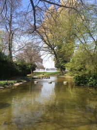 Scenic view of lake against trees