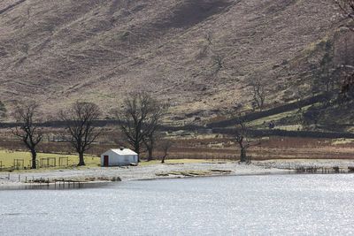Bare trees on snow covered landscape