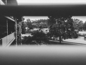 Trees and buildings against sky