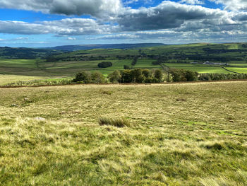 Landscape view, with fields, trees, and hills in the far distance near, halton east, skipton, uk