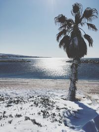 Scenic view of sea against clear sky during winter