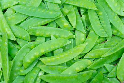 Full frame shot of green leaf