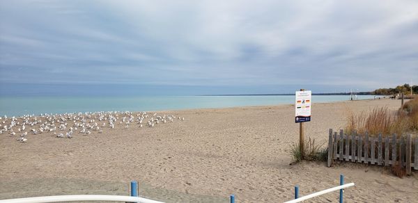 Hooded chairs on beach against sky