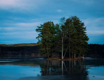 Trees by lake in forest against sky