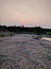 Scenic view of trees against sky during sunset