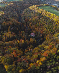 High angle view of trees in forest during autumn