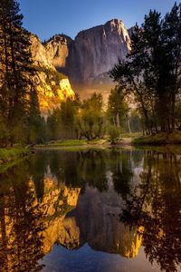 Reflection of trees in lake