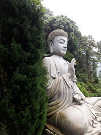 Statue of buddha against trees