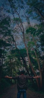 Rear view of man standing by trees in forest