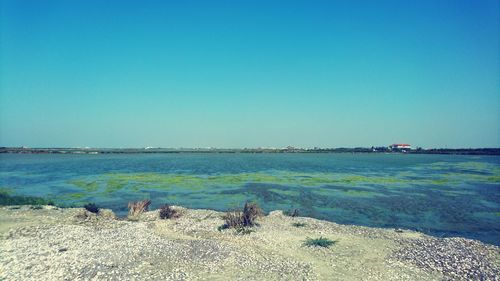 Scenic view of beach against clear blue sky