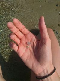 Close-up of hands