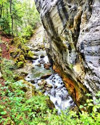 Scenic view of waterfall in forest