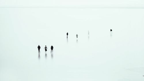 High angle view of people on ice rink