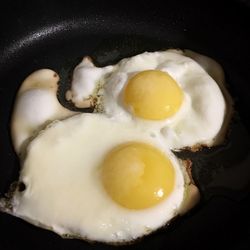 Close-up of food in bowl