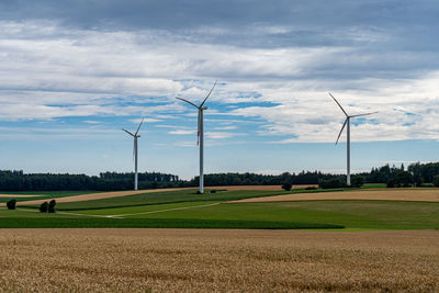 Scenic view of agricultural field