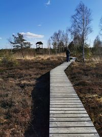 Man walking on footpath amidst trees against sky