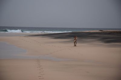 Full length of man on beach against sky