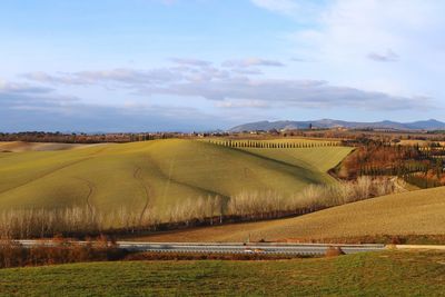 Scenic view of agricultural field against sky