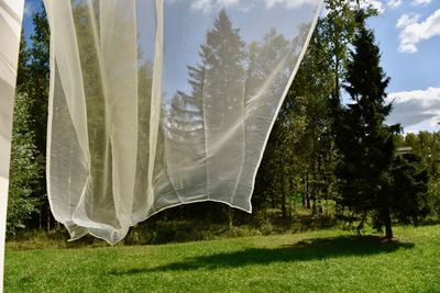 Panoramic view of trees on field against sky